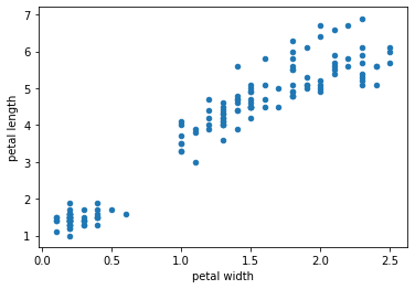 plotting petal width vs length (as a method)