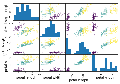 scatter plot matrix with different colors for species